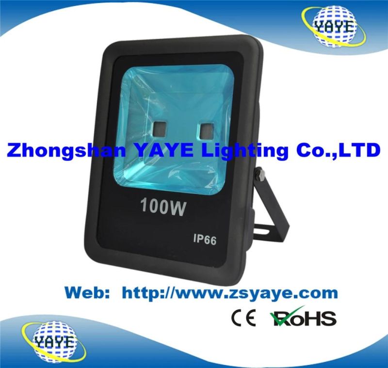 Yaye 18 Hot Sell Ce/RoHS 300W COB LED Flood Light/ COB LED Floodlight with 3/5 Years Warranty