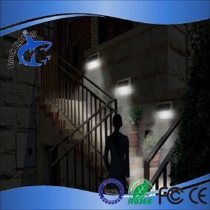 Outdoor Light Solar Lighting