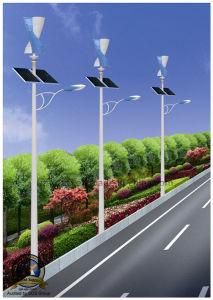 6m 24W Wind Solar LED Street Light