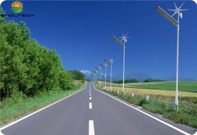 80W Hybrid Wind and Solar LED Street Light (SNH-080)