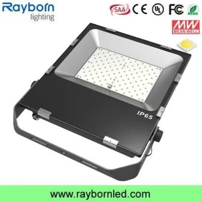 High Lumen Cheap Outdoor Lighting IP65 100W LED Flood Light