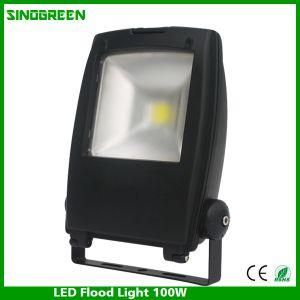 Ce RoHS Hot Sales LED Flood Light1 100W