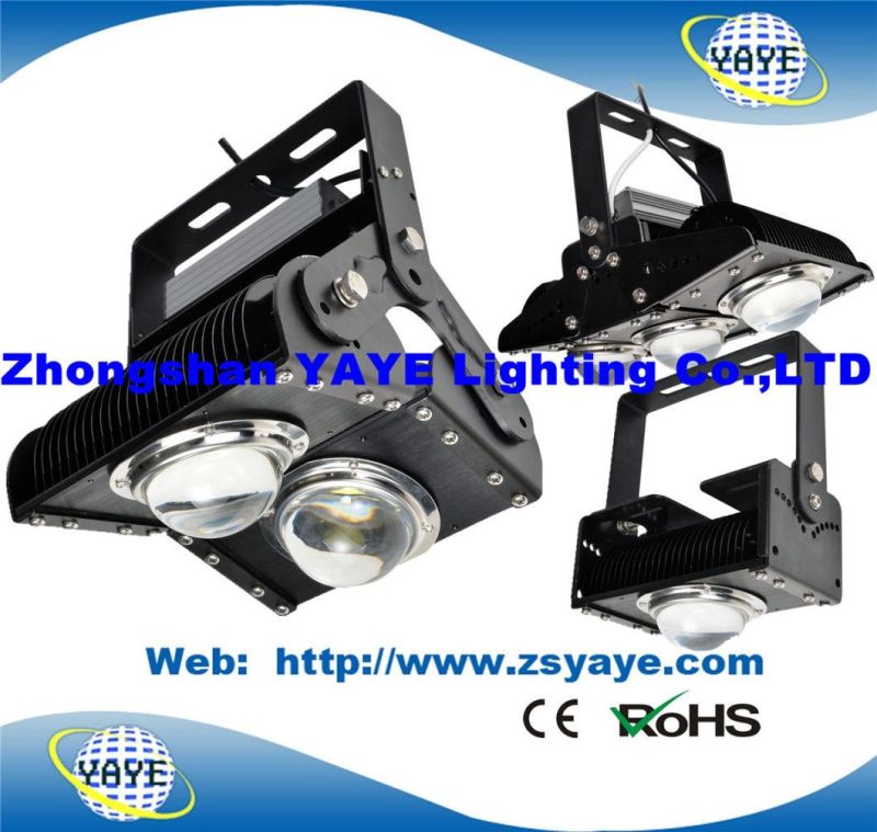 Yaye 18 Hot Sell 10W/20W/30W COB LED Floodlight/ 30W LED Tunnel Light/LED Projector Lights IP65