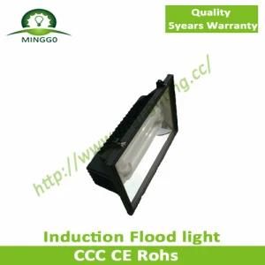 120W 130W 140W Induction Outdoor Light with CE, GS, Induction Flood Light