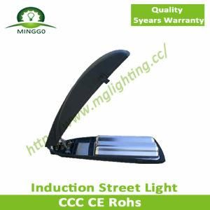 120W~180W Induction Street Light Road Lamp IP65 5years Warranty