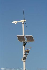 Gel Battery 8m 60W Solar Wind Street Light Single Arm
