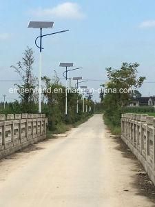 High Quality 80W New Energy Street Solar Light with 3 Years Warranty