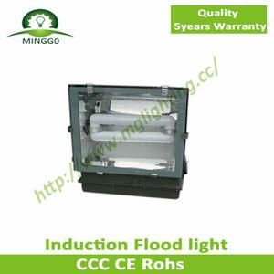 High Brightness Waterproof Induction Flood Light with 5 Years Warranty