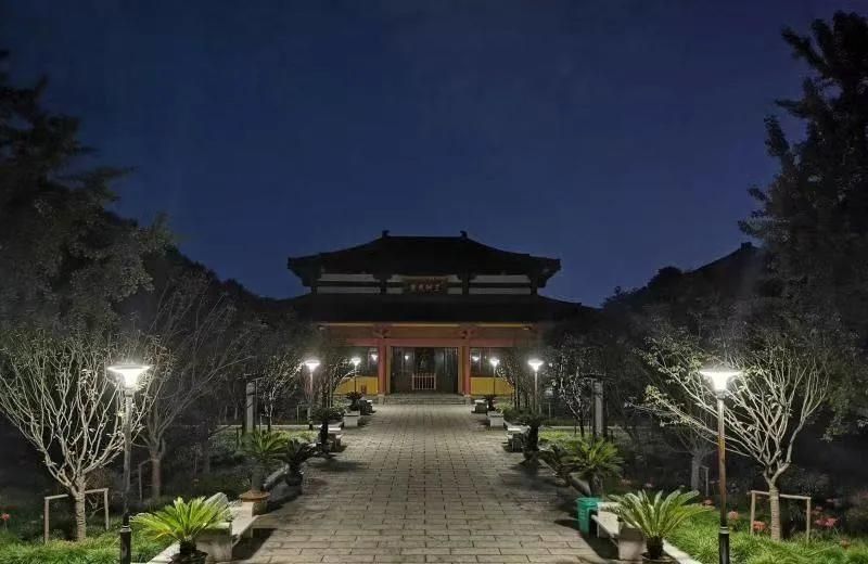 All in One Decorative Commercial Garden LiFePO4 Lithium Battery Courtyard Pathway Pole Mounted Solar Lights