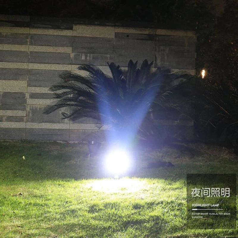 Solar Lights Lawn and Garden Outdoor Light