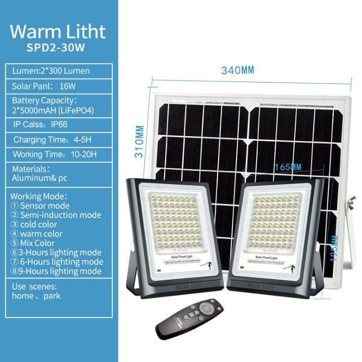 Renda Group Solar Flood Warm Light 60W Manufacturer in China with IP66 Waterproof