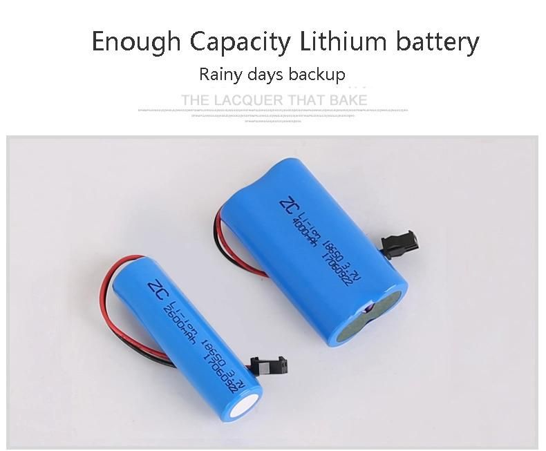 LiFePO4 Lithium Battery Outdoor IP65 Solar Garden Lawn Lights