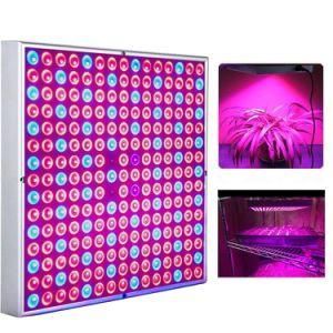 Indoor COB Greenhouse Plant Growth Full Spectrum LED Grow Light