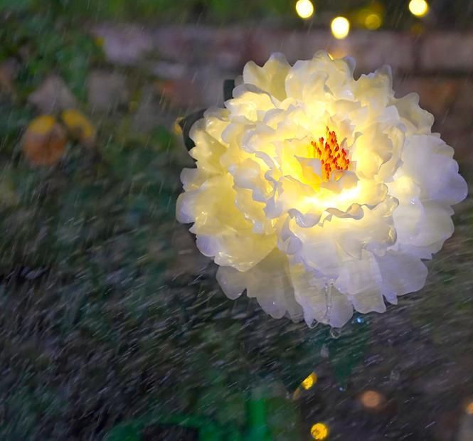 Brilliant-Dragon Wedding Party Garden Patio Yard Solar Power Peony Flower Decoration Light