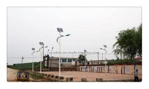 12W Solar Street Light in Solar Lighting (XD-TYN031)