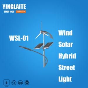 Good Performance Gel Battery 9m Pole 100W Wind Solar Hybrid Outdoor Light