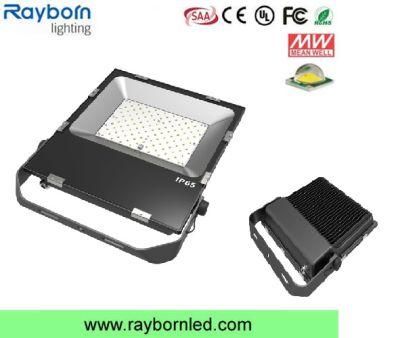 Outdoor IP65 Ce RoHS SAA LED Flood Light (RB-FLL-100WS)