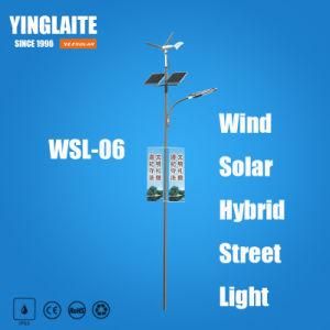 Manufacturer Ce RoHS 6m Pole 50W Wind Solar Hybrid Outdoor Light