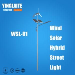 Good Performance Gel Battery 9m Pole 100W Wind Solar Hybrid Street Lamp