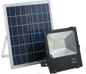 Factory Direct IP65 Bridgelux 30W Solar LED Flood Lighting Cheap Price on Sale