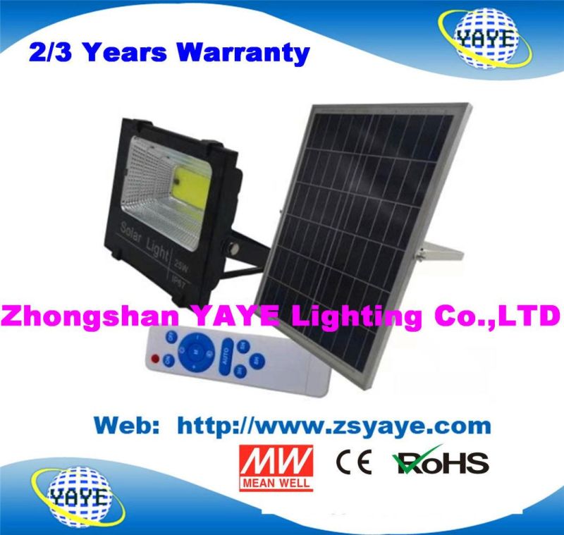 Yaye 2021 Hot Sell Outdoor IP67 COB 40W Solar LED Flood Light / 40W Solar LED Flood Lighting with 2/3 Years Warranty