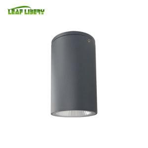 New High Spot Light Quality ceiling Light Narrow Beam LED Outdoor Ceiling Lamp Lamp Factory