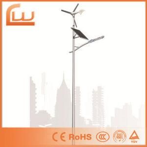 6m High 30W Power System LED Solar Wind Street Light