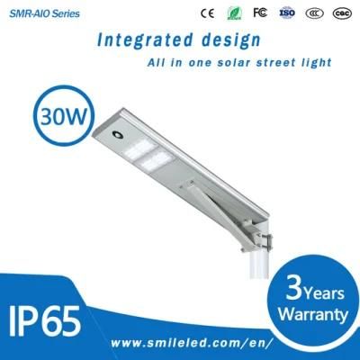 30W All in One LED Integrated Solar Street Light with Portable Sunlight Panel Power From China