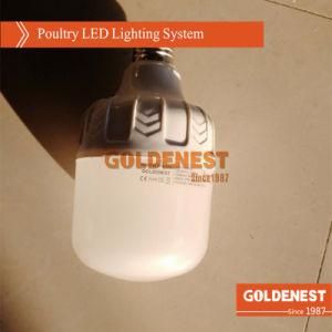 Goldenest Poultry LED Light for Poultry House