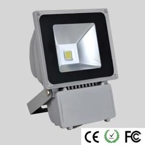 LED Flood Light (RGB Flood Light)