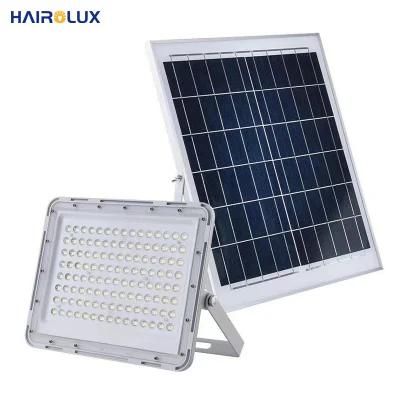 Factory Price Solar Power Outdoor Floodlight Remote Control Garden Lighting High Quality Solar LED Flood Light