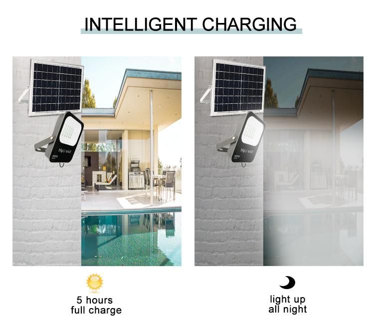 High Quality Motion Sensor Portable Remote Control IP68 Low Price Golden Supplier 30W 50W 100W 200W Solar Flood Light