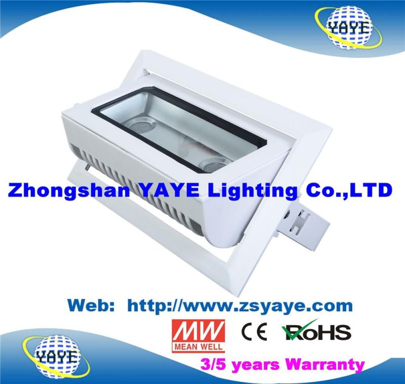 Yaye 18 Top Sell Ce/RoHS Approval COB 30W LED Projector / COB 30W LED Flood Light /COB 30W LED Downlight