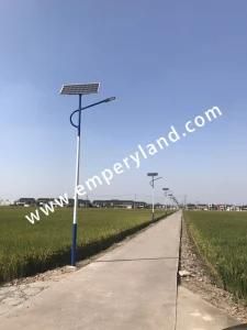 All Year Lighting 6m 30W Solar LED Street Light (DZS-06-30W)