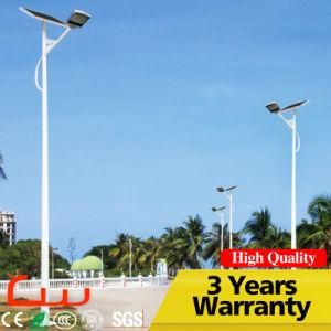 80000hrs Photocell Induction 30W 60W LED Solar Street Lamp