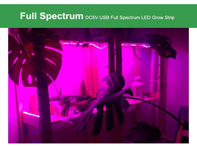 LED Grow Light Full Spectrum USB Grow Light Strip 0.5m 1m 2m 3m 2835 SMD DC5V LED Phyto Tape for Seed Plants Flowers Greenhouses