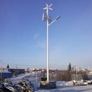 Pegasus Series Wind Solar Hybrid Street Light System Two 30W LED Street Lights