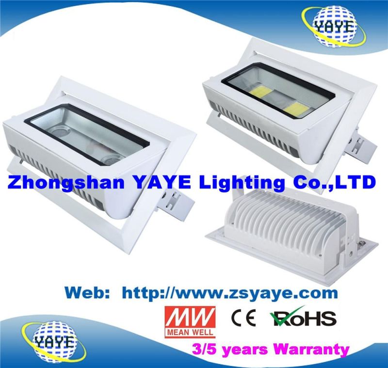 Yaye 18 Top Sell Ce/RoHS Approval COB 30W LED Projector / COB 30W LED Flood Light /COB 30W LED Downlight