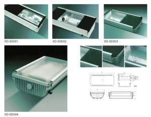 Tunnel Light From 30W to 100W