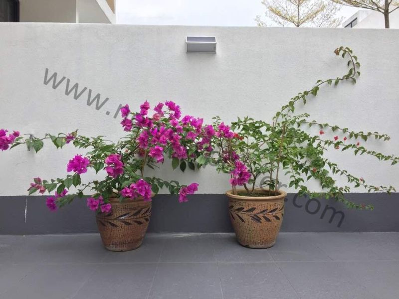 Aluminium Alloy Material Solar Wall Lights for Outdoor Garden Home Use