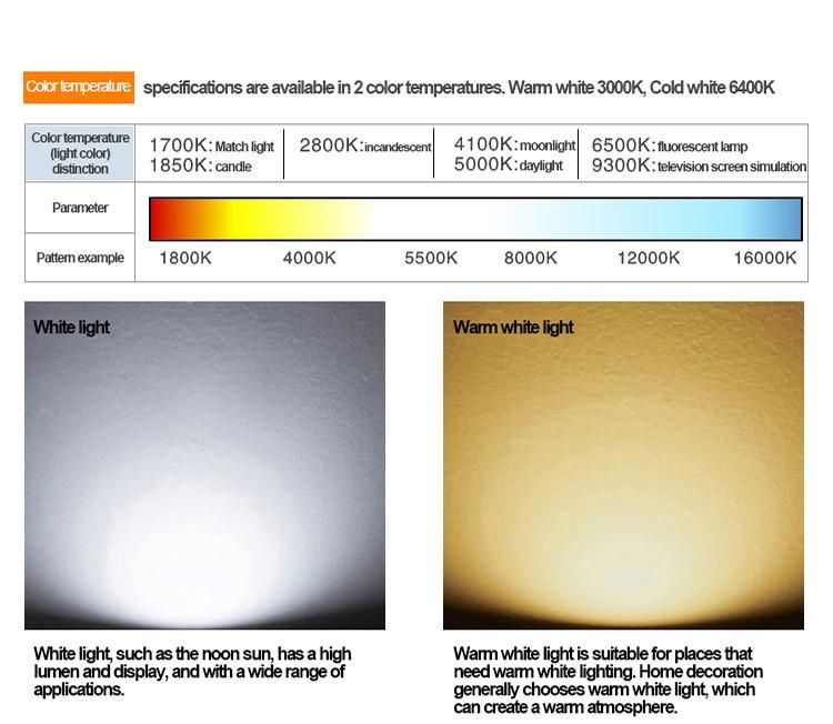 High Brightness 3030 LED Chips Waterproof 12W Solar Garden Light