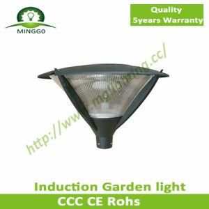 40W 50W 60W Garden Light IP65 with 5 Years Warranty