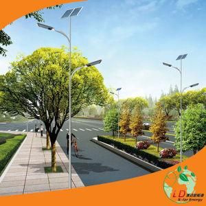 CE RoHS Approval 30W 60W CREE LED Solar Street Light