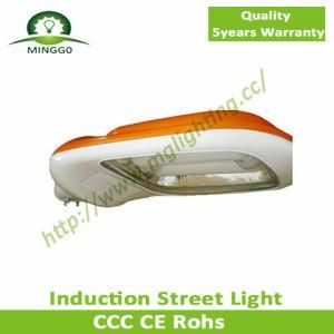 100W~150W Induction Street Light Road Lamp Outdoor Light