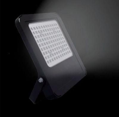 LED Flood Light for Warehouse Sport Field Light 50W 100W 150W Outdoor Lighting LED Lights Cheaper Price Spotlight LED Floodlight