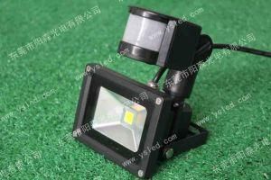 LED Sensor Flood Light-10W