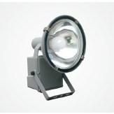 Induction Floodlight (DX-WTGZ04)