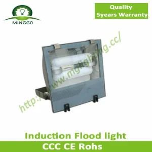 40W 80W 90W Induction Flood Light with 5 Years Warranty
