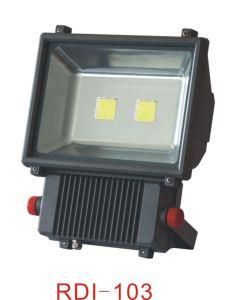 LED Flood Light (RDI-103)