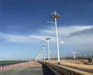 Outdoor Wind Powered Street Light 18V 100W Monocrystalline Silicon Solar Panel LED Country/Road Lights